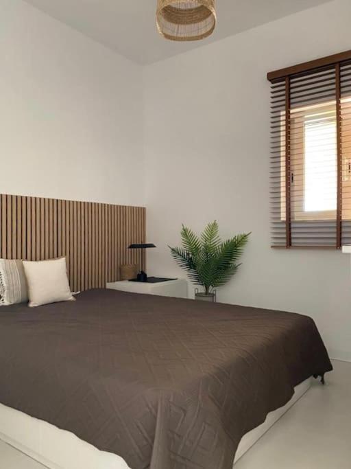 The Palm Apartment Karpathos Ngoại thất bức ảnh